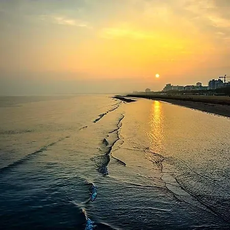 Peaceful Flat 200m From The Sea In Hotel 3*
